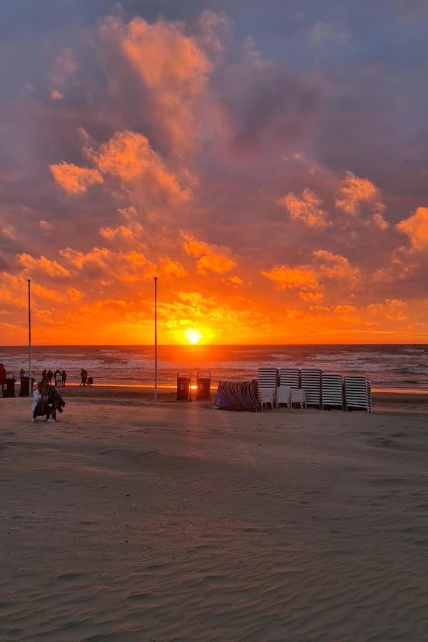B&B Het Duinhuisje Met Jacuzzi, Gratis Parkeren, 2 Fietsen Te Leen, Airco Zandvoort Eksteriør bilde